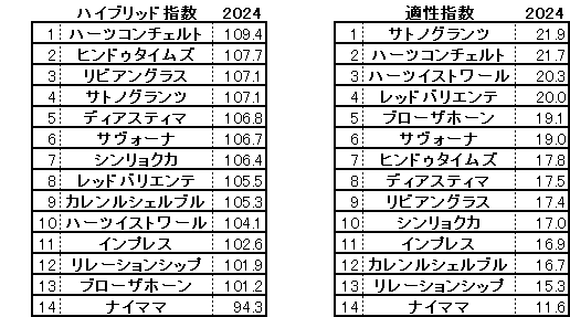 2024　日経新春杯　HB指数